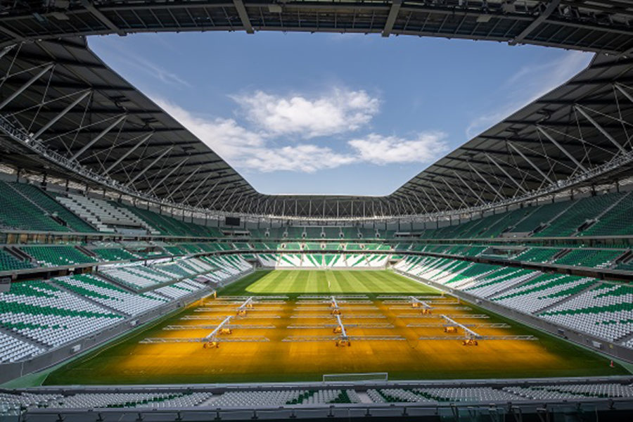 Estadio Mundial de Qatar.