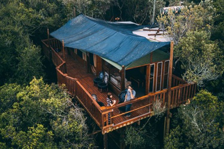 Casas de lujo en los árboles