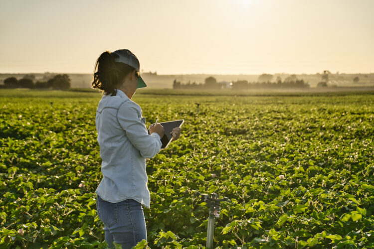 sector agroalimentario tecnología